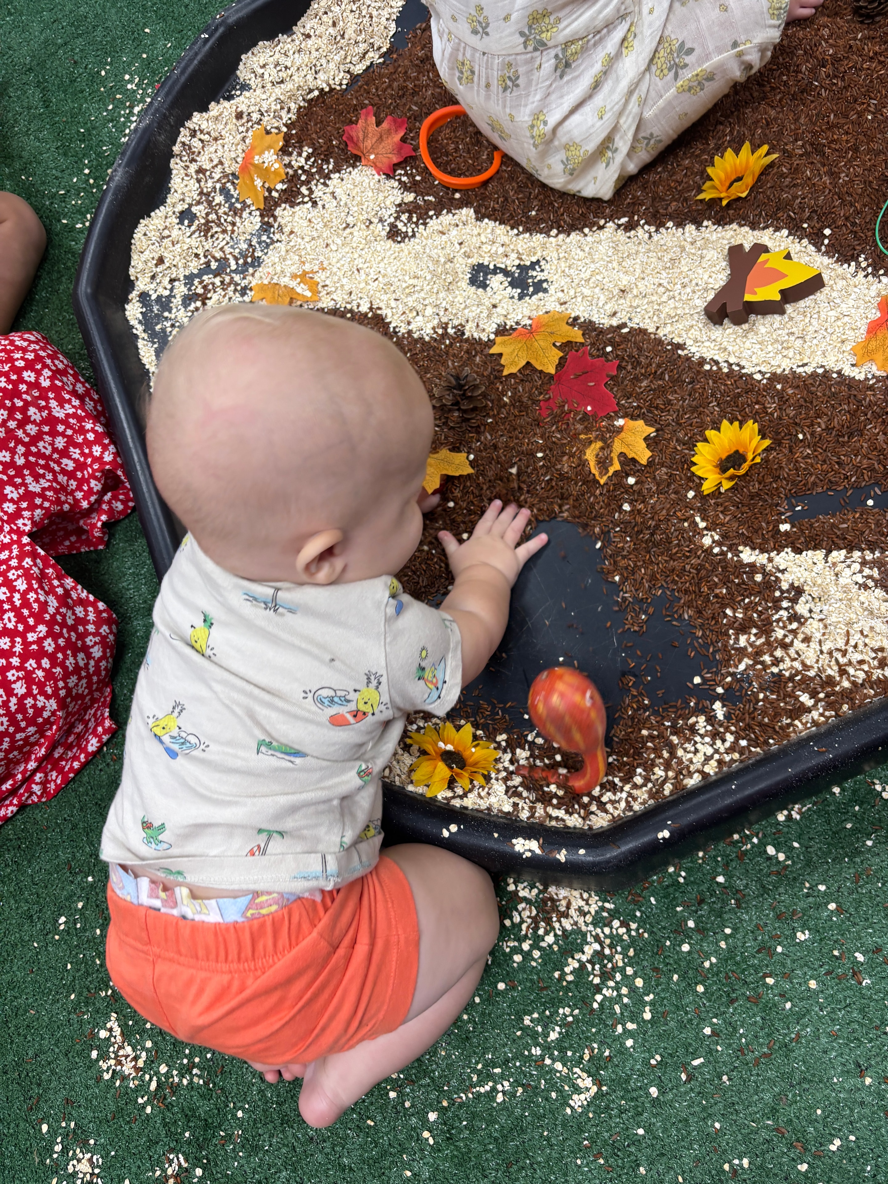 Families playing together at Sincerely Sensory